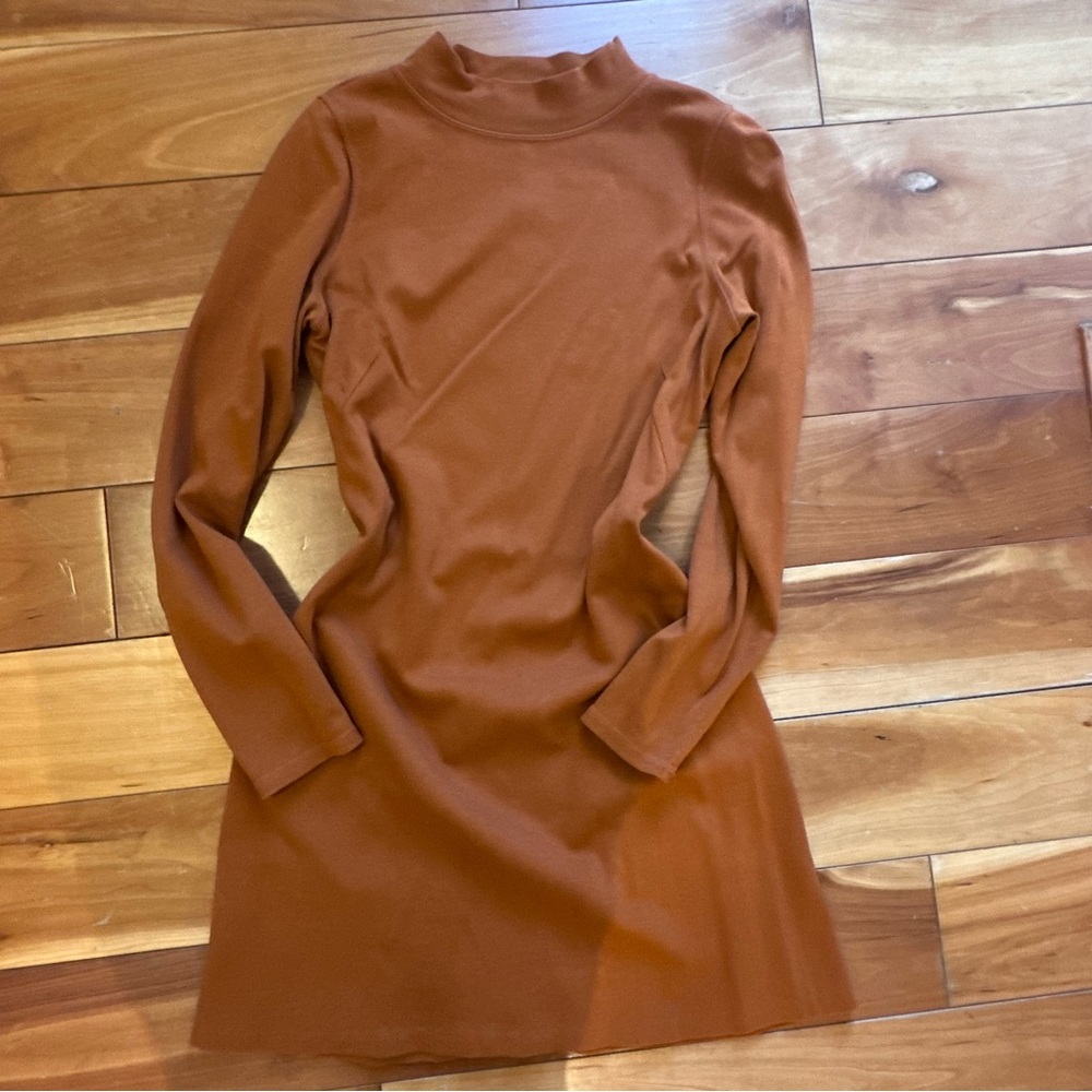 Everlane Mockneck Long-Sleeve Dress